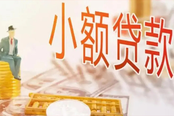 东莞虎门镇贷私借